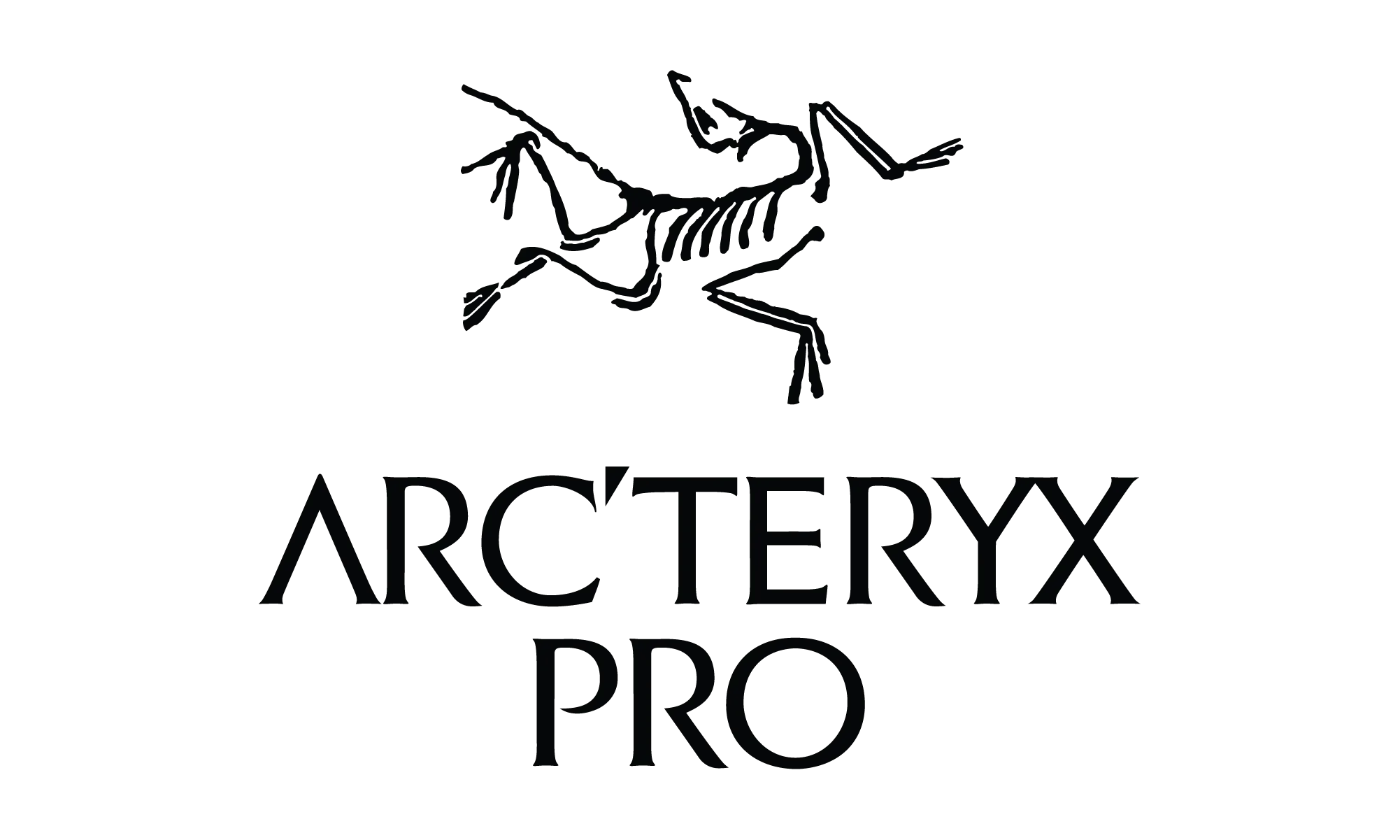 Arc'teryx Pro