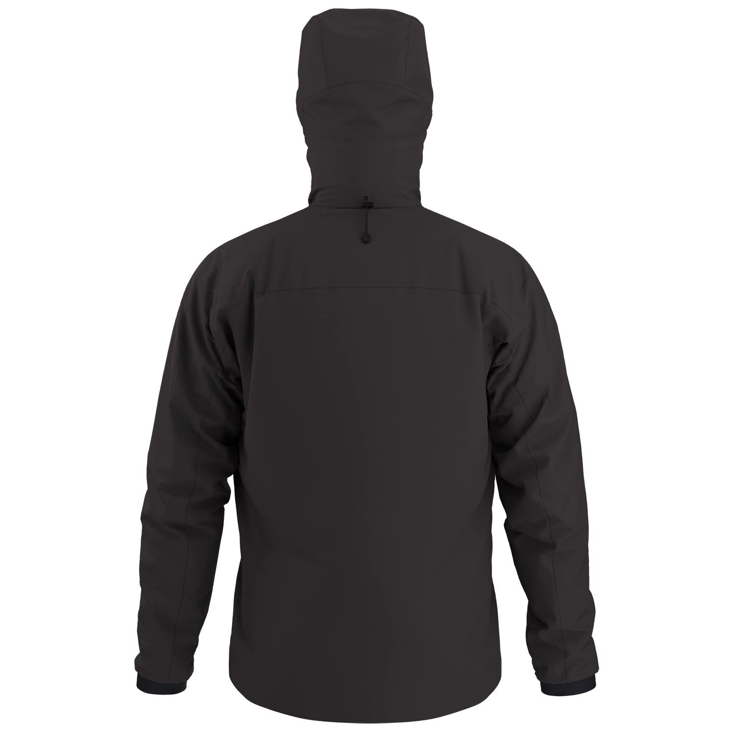 Arc'teryx Pro Practitioner AR Hoody