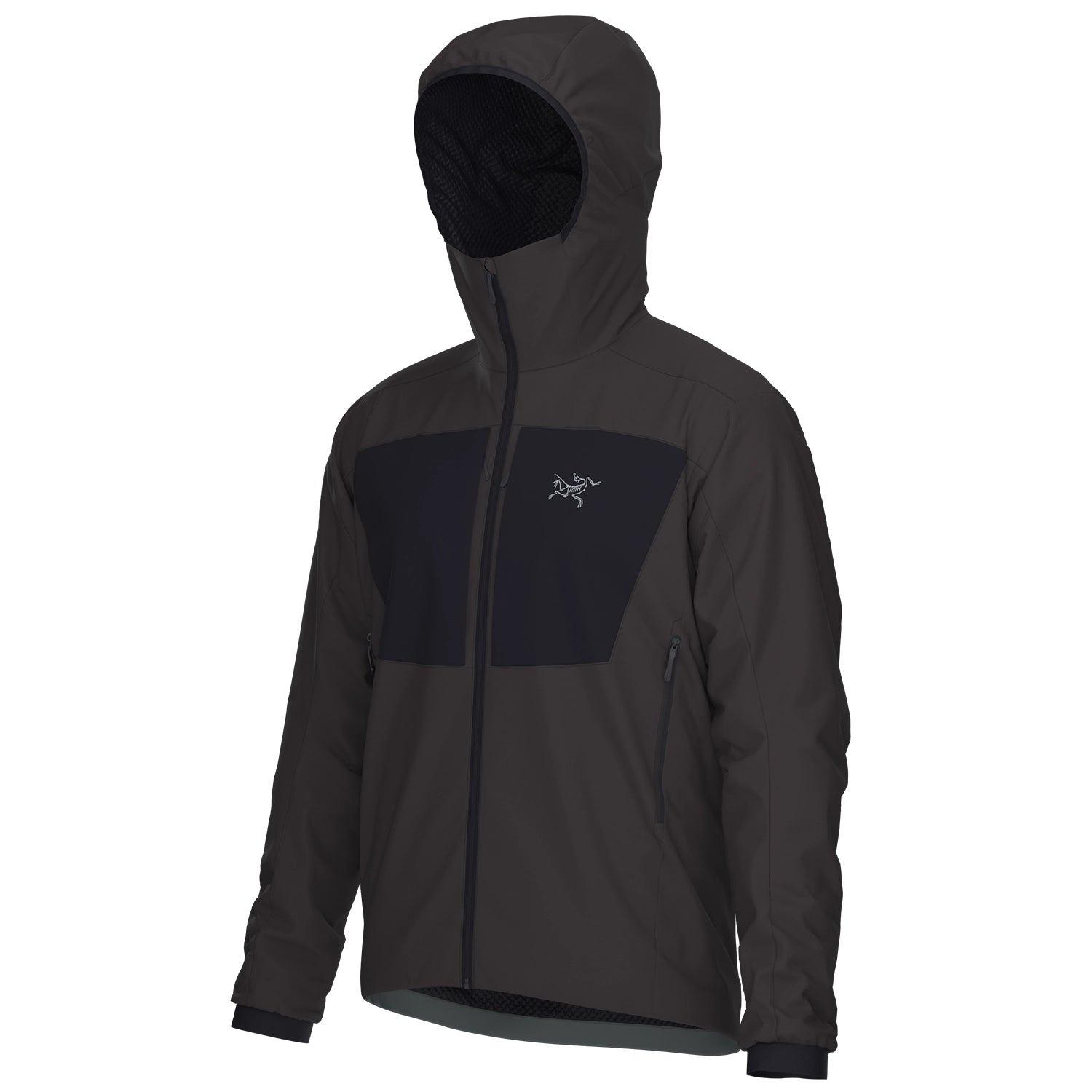 Arc'teryx Pro Practitioner AR Hoody