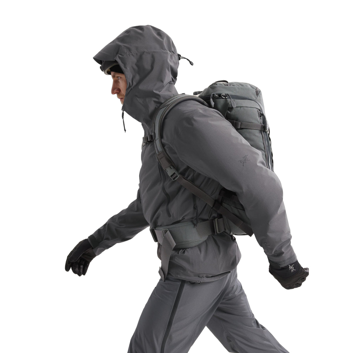 Alpha LT Jacket Gen 2.2 Wolf Hover