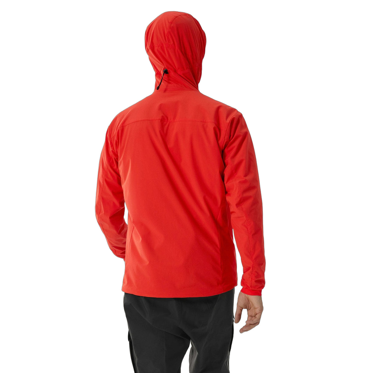 Practitioner AR Hoody Dynasty Back View