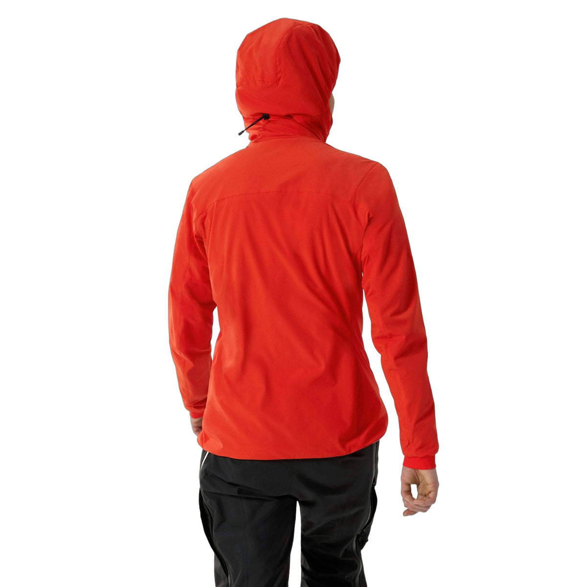 Practitioner AR Hoody Women's Dynasty Back View